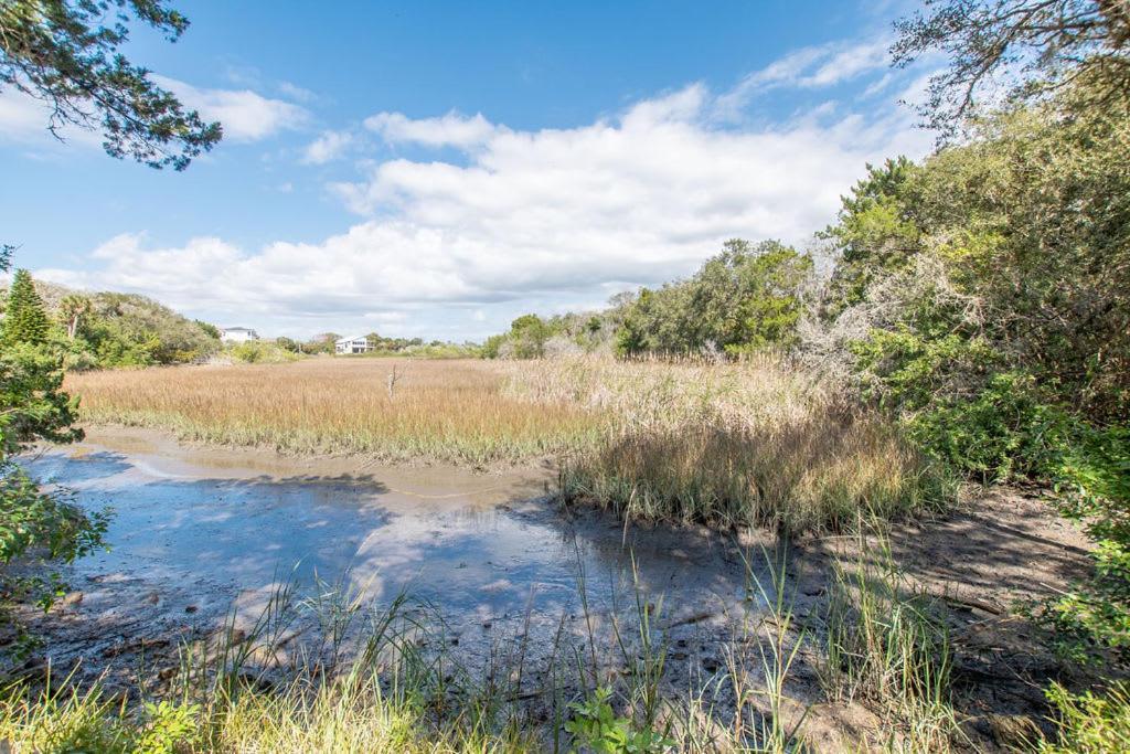 Marsh Front Birders Paradise Close To Beaches And Downtown سانت أوغيستين المظهر الخارجي الصورة